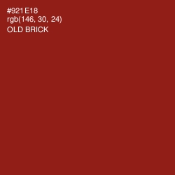 #921E18 - Old Brick Color Image